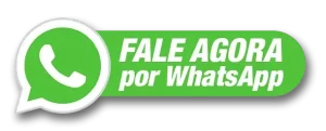 Contato via WhatsApp Slim Motors